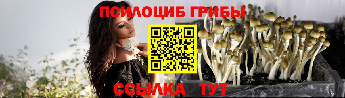 наркошоп  Вход с VPN  Дальнереченск  Псилоцибиновые грибы ЛСД 